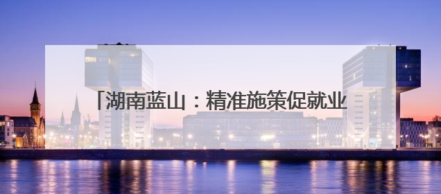 湖南蓝山：精准施策促就业 校企实现“双向奔赴”