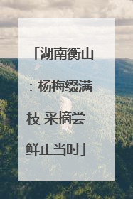 湖南衡山：杨梅缀满枝 采摘尝鲜正当时