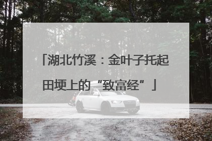 湖北竹溪：金叶子托起田埂上的“致富经”