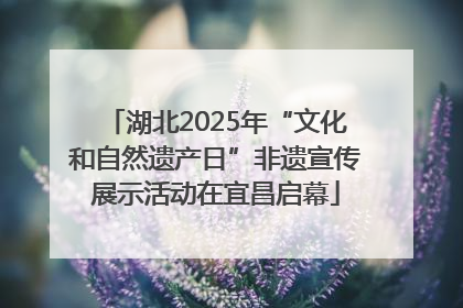 湖北2025年“文化和自然遗产日”非遗宣传展示活动在宜昌启幕