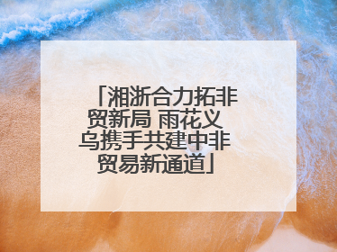 湘浙合力拓非贸新局 雨花义乌携手共建中非贸易新通道