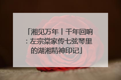湘见万年丨千年回响：左宗棠家传七弦琴里的湖湘精神印记