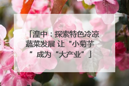 湟中：探索特色冷凉蔬菜发展 让“小菊芋”成为“大产业”