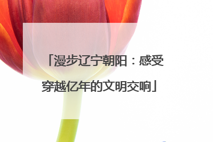 漫步辽宁朝阳：感受穿越亿年的文明交响