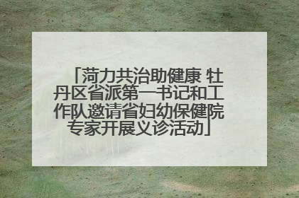 菏力共治助健康 牡丹区省派第一书记和工作队邀请省妇幼保健院专家开展义诊活动