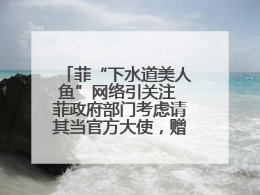 菲“下水道美人鱼”网络引关注 菲政府部门考虑请其当官方大使，赠现金开店