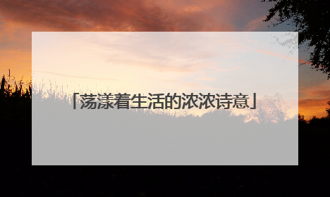 荡漾着生活的浓浓诗意