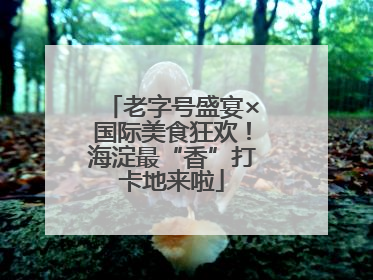 老字号盛宴×国际美食狂欢！海淀最“香”打卡地来啦