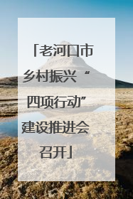 老河口市乡村振兴“四项行动”建设推进会召开