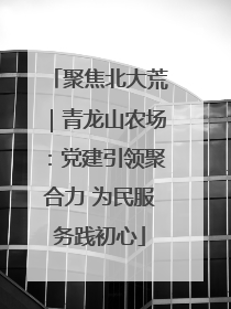 聚焦北大荒｜青龙山农场：党建引领聚合力 为民服务践初心