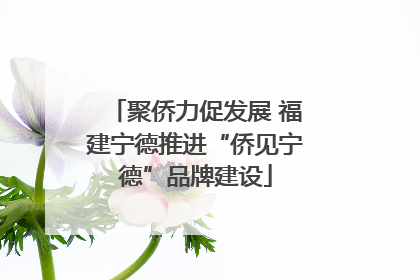 聚侨力促发展 福建宁德推进“侨见宁德”品牌建设