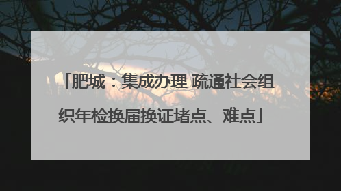 肥城：集成办理 疏通社会组织年检换届换证堵点、难点