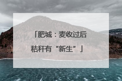 肥城：麦收过后秸秆有“新生”