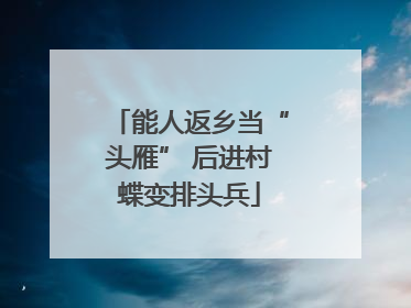 能人返乡当“头雁” 后进村蝶变排头兵