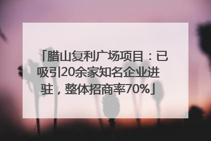 腊山复利广场项目：已吸引20余家知名企业进驻，整体招商率70%