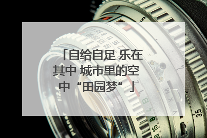 自给自足 乐在其中 城市里的空中“田园梦”