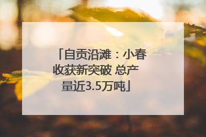 自贡沿滩：小春收获新突破 总产量近3.5万吨