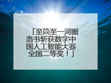 至简至一河图洛书斩获数字中国人工智能大赛全国二等奖！
