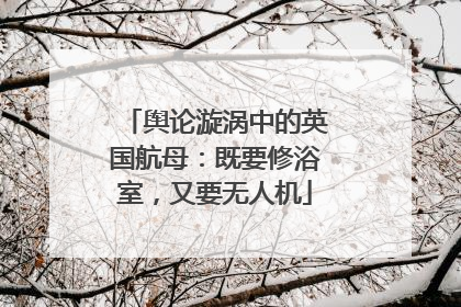 舆论漩涡中的英国航母：既要修浴室，又要无人机