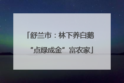 舒兰市：林下养白鹅 “点绿成金”富农家