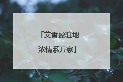 艾香盈驻地 浓情系万家