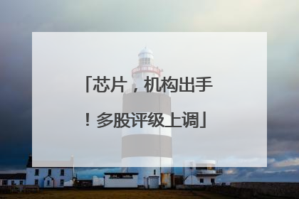 芯片，机构出手！多股评级上调