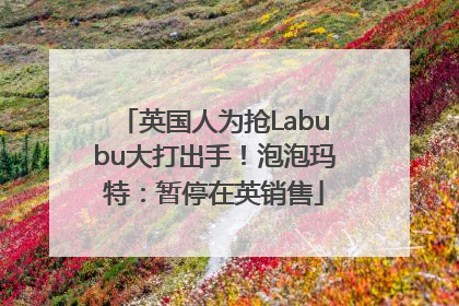 英国人为抢Labubu大打出手！泡泡玛特：暂停在英销售