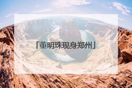 董明珠现身郑州