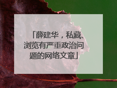 薛建华，私藏、浏览有严重政治问题的网络文章