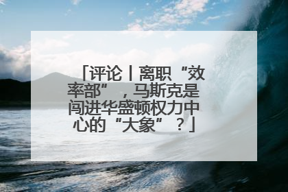 评论丨离职“效率部”，马斯克是闯进华盛顿权力中心的“大象”？