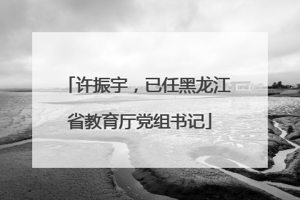 许振宇，已任黑龙江省教育厅党组书记