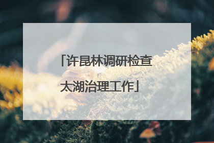 许昆林调研检查太湖治理工作
