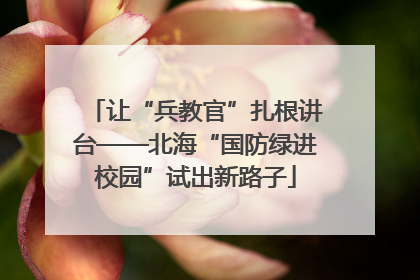 让“兵教官”扎根讲台——北海“国防绿进校园”试出新路子
