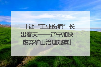 让“工业伤疤”长出春天——辽宁加快废弃矿山治理观察