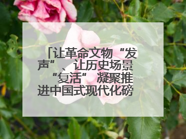 让革命文物“发声”、让历史场景“复活” 凝聚推进中国式现代化磅礴力量