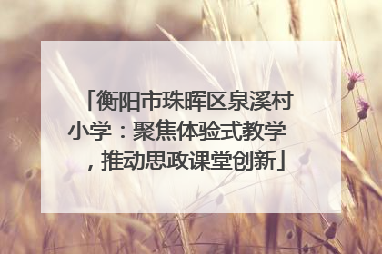 衡阳市珠晖区泉溪村小学：聚焦体验式教学，推动思政课堂创新