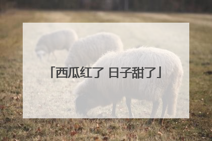 西瓜红了 日子甜了