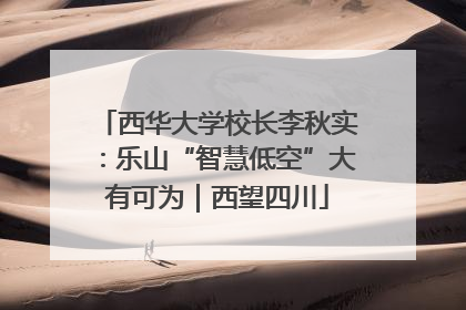 西华大学校长李秋实：乐山“智慧低空”大有可为｜西望四川