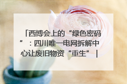 西博会上的“绿色密码”：四川唯一电网拆解中心让废旧物资“重生”｜西博寻“新”记