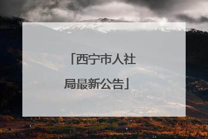 西宁市人社局最新公告