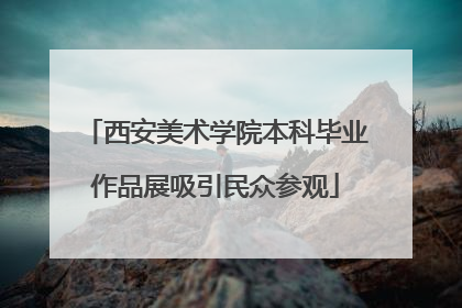 西安美术学院本科毕业作品展吸引民众参观