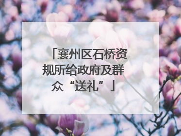 襄州区石桥资规所给政府及群众“送礼”