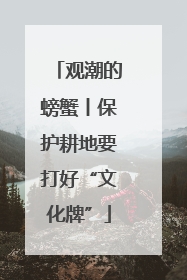 观潮的螃蟹丨保护耕地要打好“文化牌”