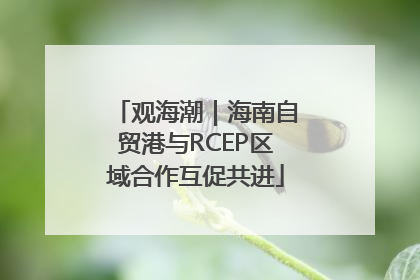 观海潮｜海南自贸港与RCEP区域合作互促共进