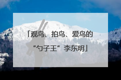 观鸟、拍鸟、爱鸟的“勺子王”李东明