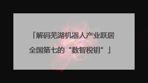 解码芜湖机器人产业跃居全国第七的“数智税钥”