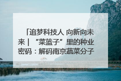 追梦科技人 向新向未来｜“菜篮子”里的种业密码：解码南京蔬菜分子育种的创新之路