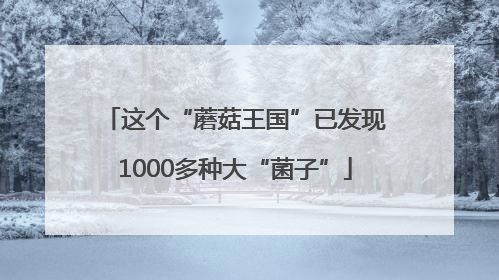 这个“蘑菇王国”已发现1000多种大“菌子”