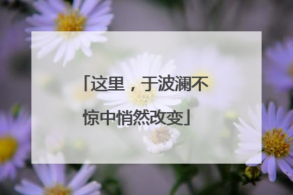 这里，于波澜不惊中悄然改变