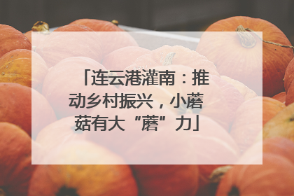 连云港灌南：推动乡村振兴，小蘑菇有大“蘑”力